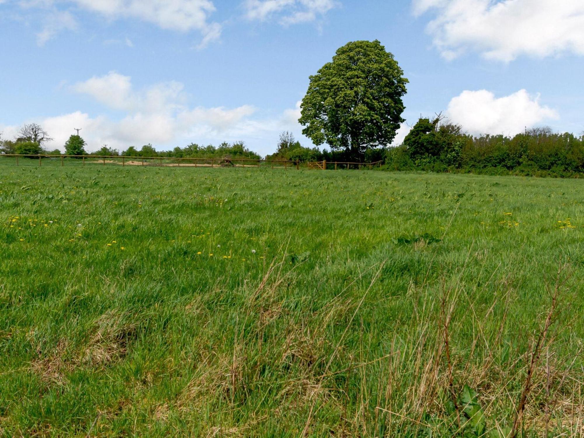 Primrose Villa Shepton Mallet Exterior foto